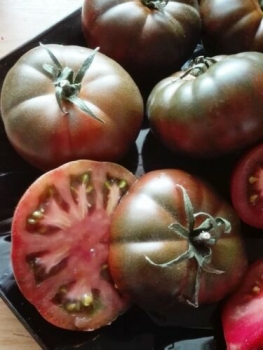 Tomate 'Marmande', dunkel gestreift, 20 Samen